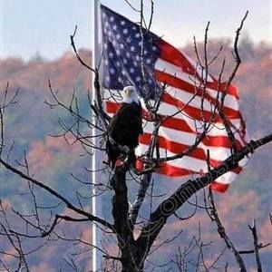 Meet your Posher, Céline